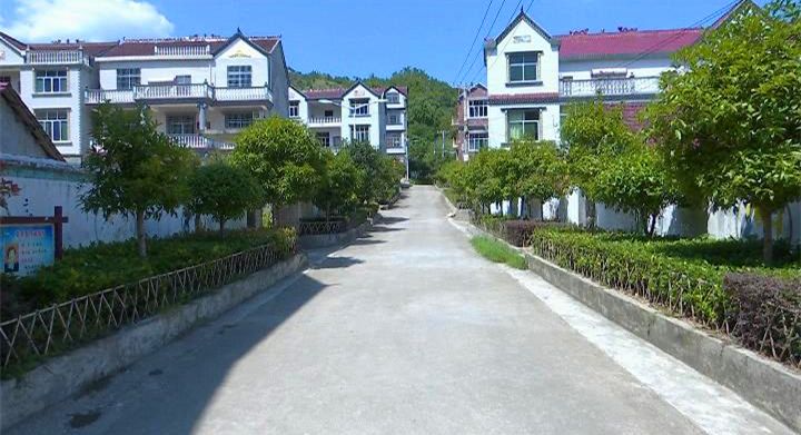 檀林镇美丽乡村创建效果不平衡_云上蕲春