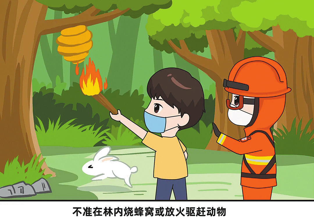 黄冈聚焦进入山林后如何预防森林火灾