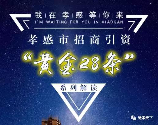 关于孝感招商引资“黄金28条”，各大派系网友纷纷发言啦！你还不来看看吗！