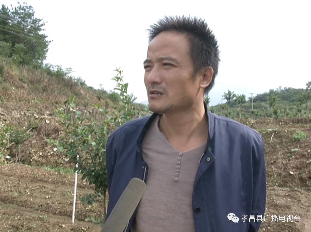 周巷镇安全村:小山村走出致富路_云上孝昌