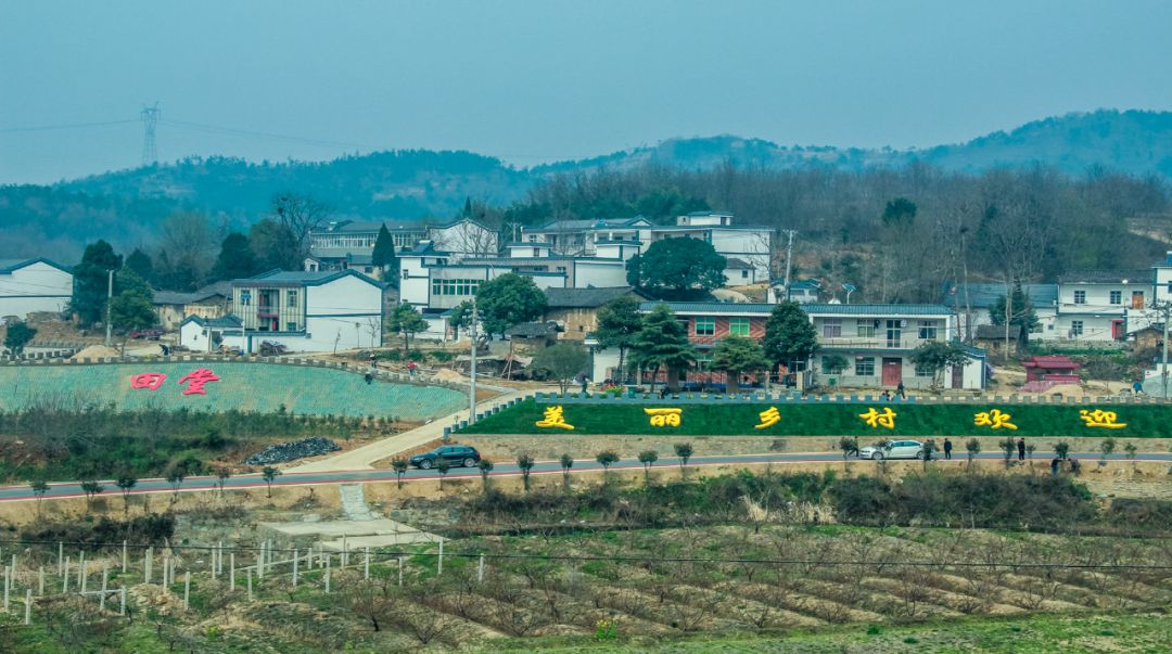 别宅在家啦打卡孝昌乡村旅游胜地承包最美春天