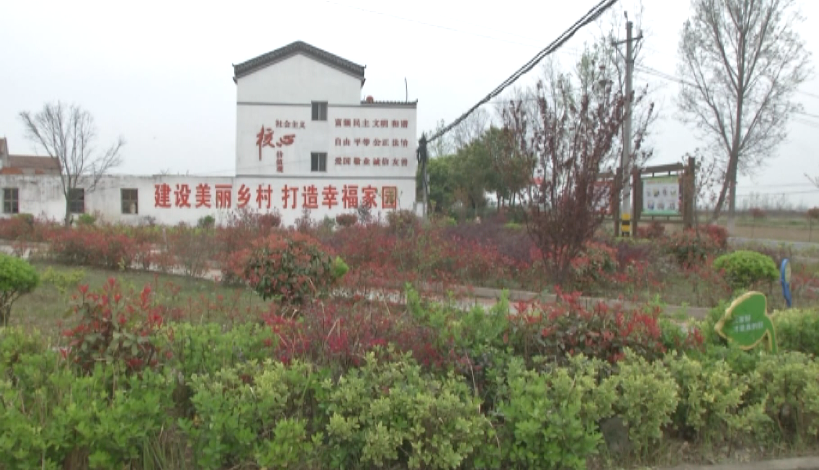 白沙镇:凝心聚力谋发展,真抓实干谱新篇!_云上孝昌