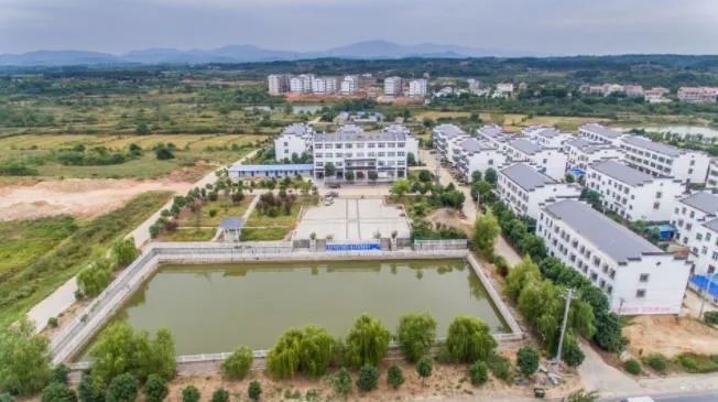 孝昌县花园镇让党史学习教育在基层落地开花
