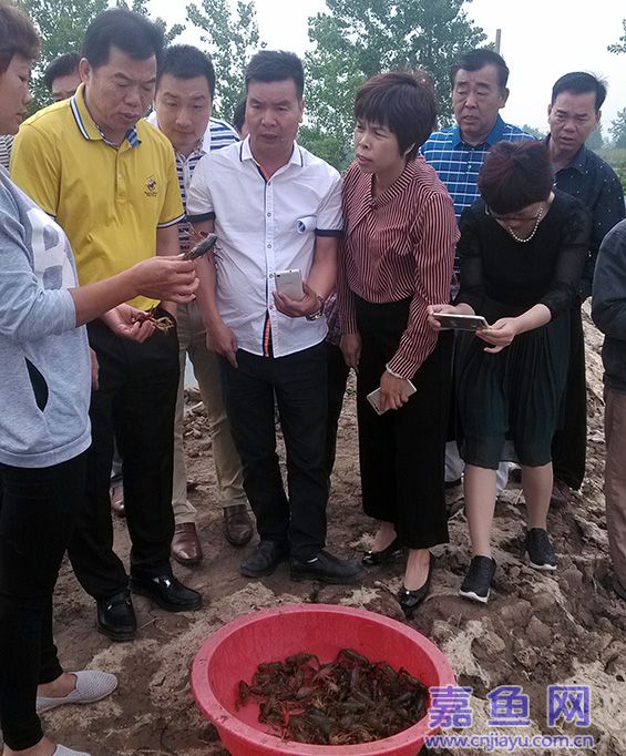 云上嘉鱼报道(记者熊铁山)5月16日,广西合浦县副县长劳小兰一行9人来