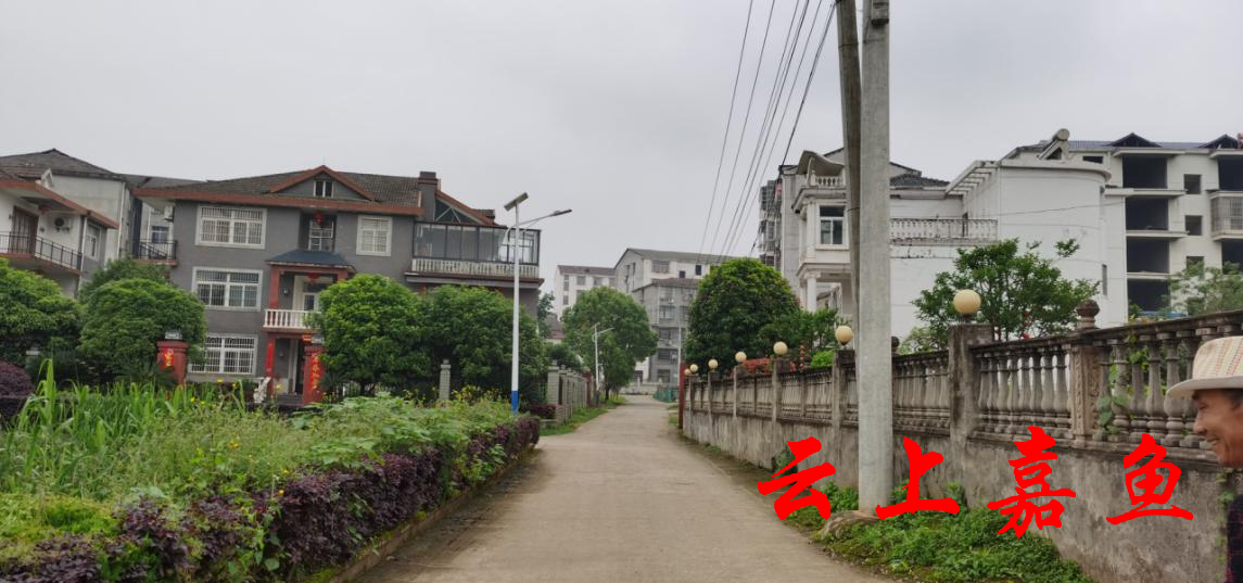 云上嘉鱼报道(记者熊琦 通讯员程李娜)5月4日,在新街镇马鞍山村,一盏