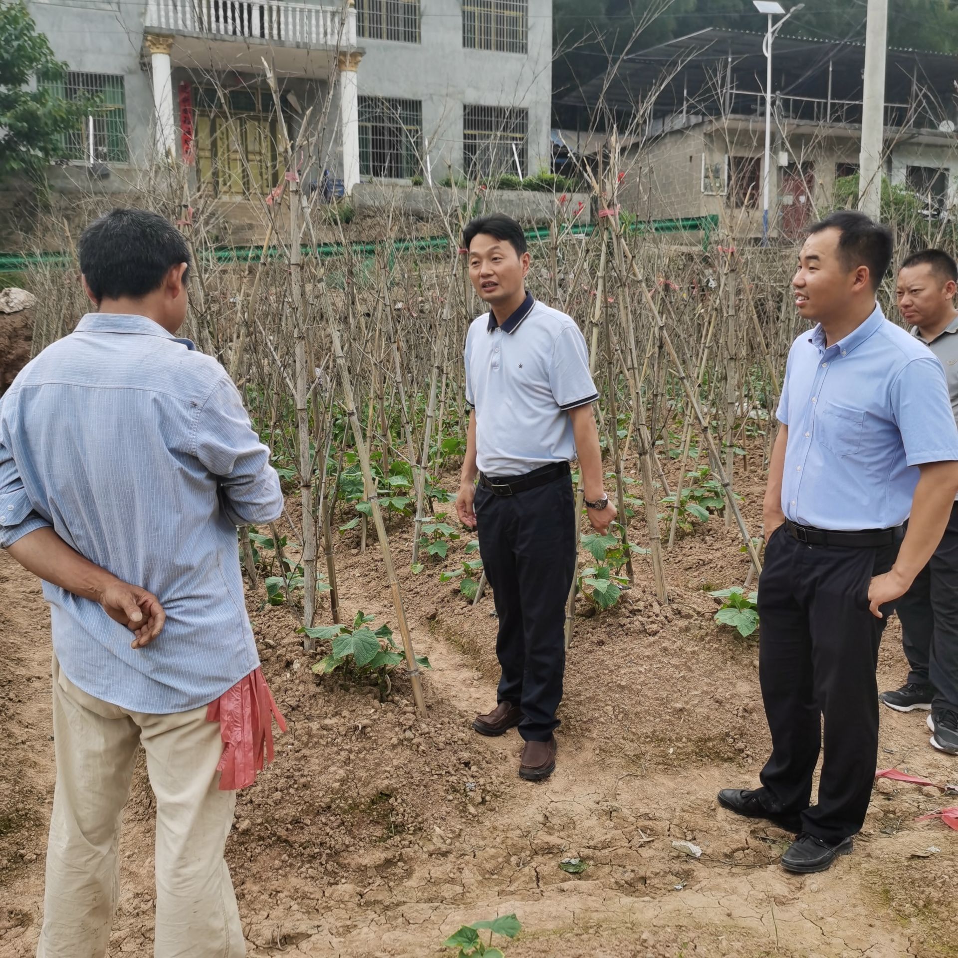 下基层察民情解民忧暖民心│崇阳桂花泉镇扎实开展八必联当好问题终结