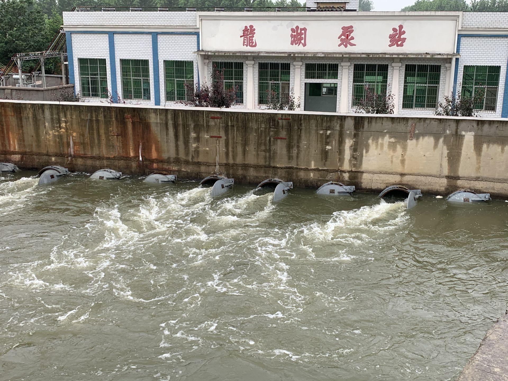 迎战强降暴雨应城开启沿线泵站昼夜抢排渍水400万方