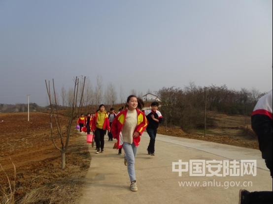 赵棚镇:种下油茶树苗,放飞脱贫希望_安陆