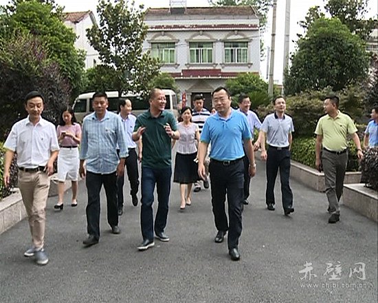 团中央基层组织建设部部长张向群调研赤壁基层团建