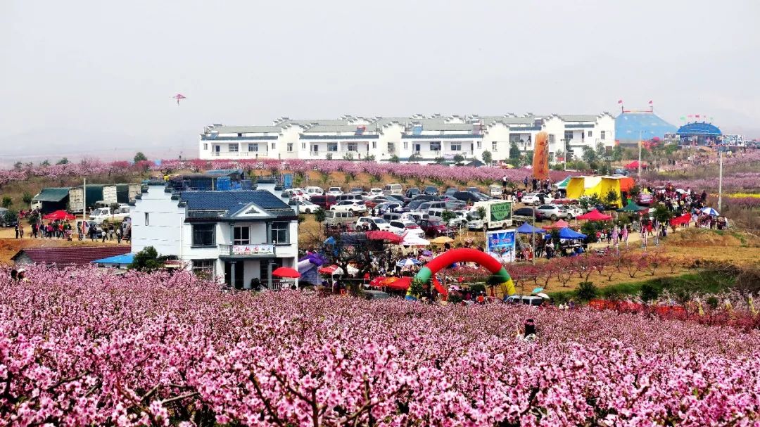 每年阳春三月,尚市镇满山遍野,桃花盛霞,梨花如雪,风景如画.