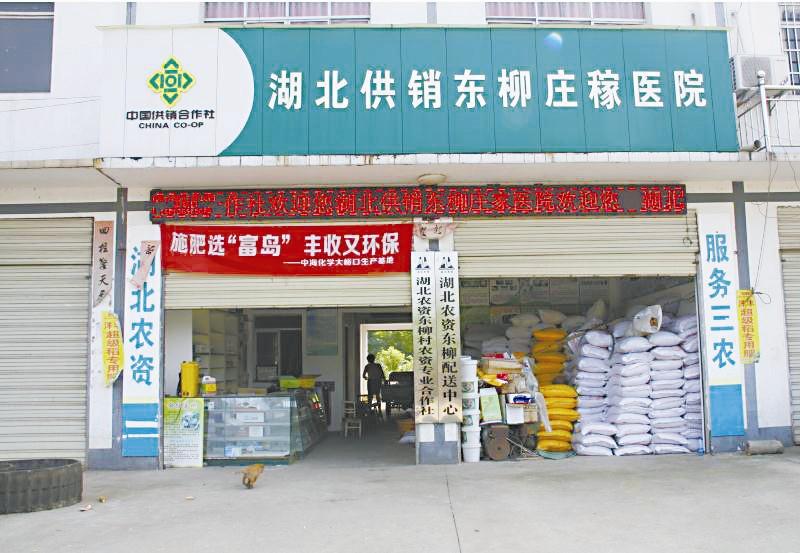 赤壁企业官网：数字化转型的新篇章