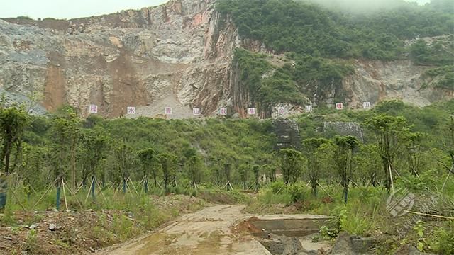 通山县考察团考察学习赤壁市非煤矿山生态修复工作