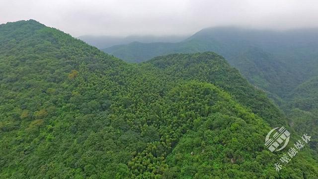 山水赤壁赤壁唯一国有林场绿满山野处处皆画卷
