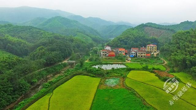 山水赤壁赤壁唯一国有林场绿满山野处处皆画卷