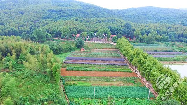 山水赤壁赤壁唯一国有林场绿满山野处处皆画卷
