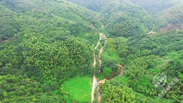 山水赤壁赤壁唯一国有林场绿满山野处处皆画卷
