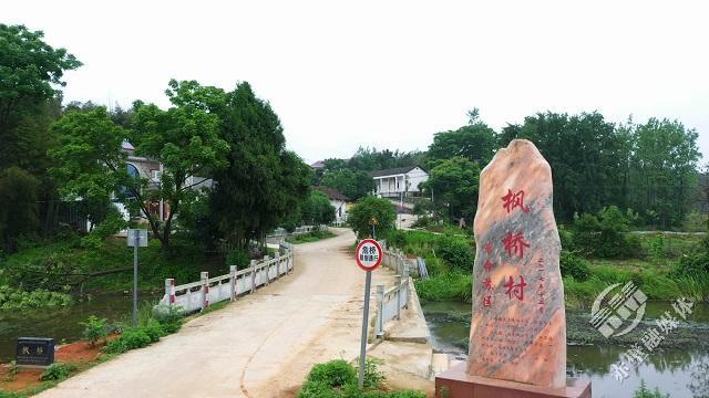 山水赤壁革命苏区风景好谁不赞美枫桥村