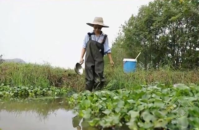 三八节特辑最美人物田淑娴心有一片海深耕待春来