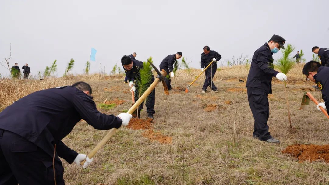 4万亩,义务植树3000亩,巩固提升经济林1万亩,高标准完成宣苏,刘蔡,观