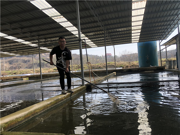 吴刚不走寻常路集约化车间养殖冷水鱼