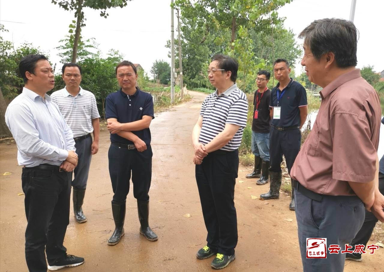 肖彬督查嘉鱼簰洲湾堤防汛工作