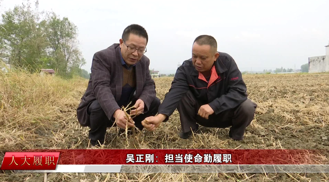 喜迎两会67代表风采扎在碧野写人生的吴正刚