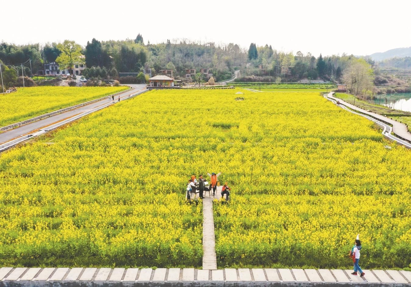 位于白霓镇油市村的小自然野奢度假酒店,由殷松甫2018年返乡投资3000