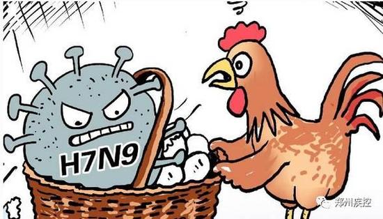 河南确诊第4例H7N9病例，患者病情危重！这些事不要再做了！