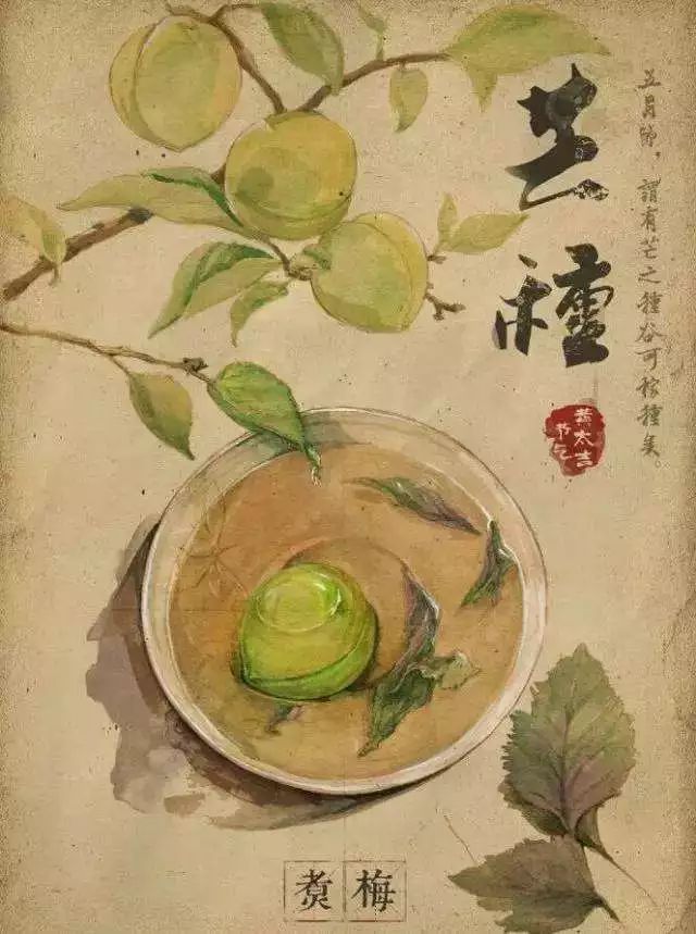 芒种又到青梅煮酒时