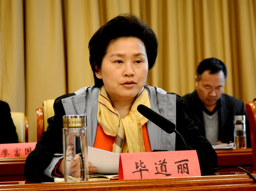 随县召开招商引资暨项目建设推进会议
