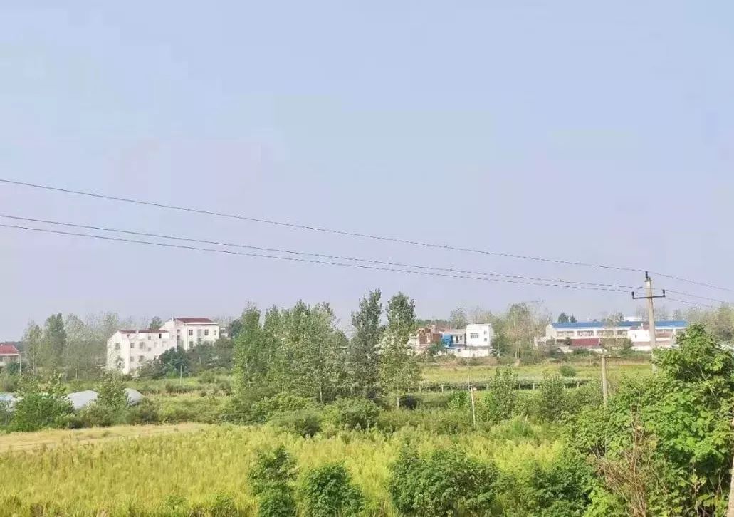 告别脏乱差随县环境综合整治火热进行中三十六