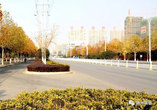 云上随州