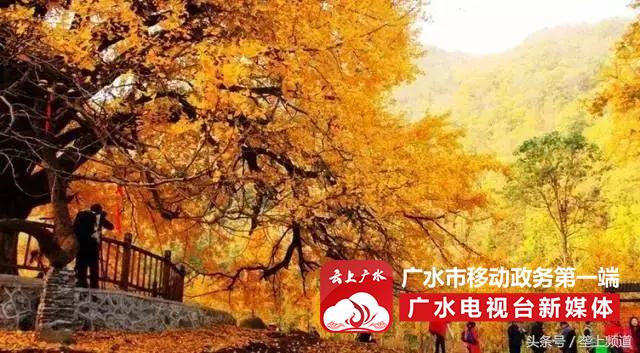 2017年湖北旅游名镇、名村名单出炉！快看你都去过吗？