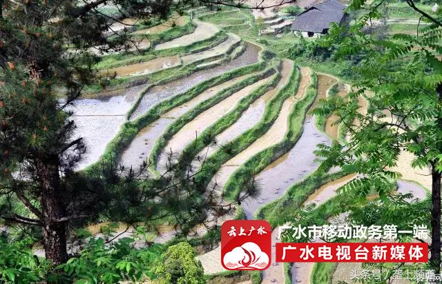 2017年湖北旅游名镇、名村名单出炉！快看你都去过吗？