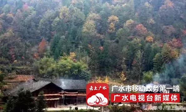 2017年湖北旅游名镇、名村名单出炉！快看你都去过吗？