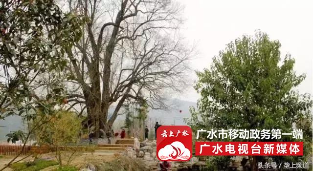 2017年湖北旅游名镇、名村名单出炉！快看你都去过吗？