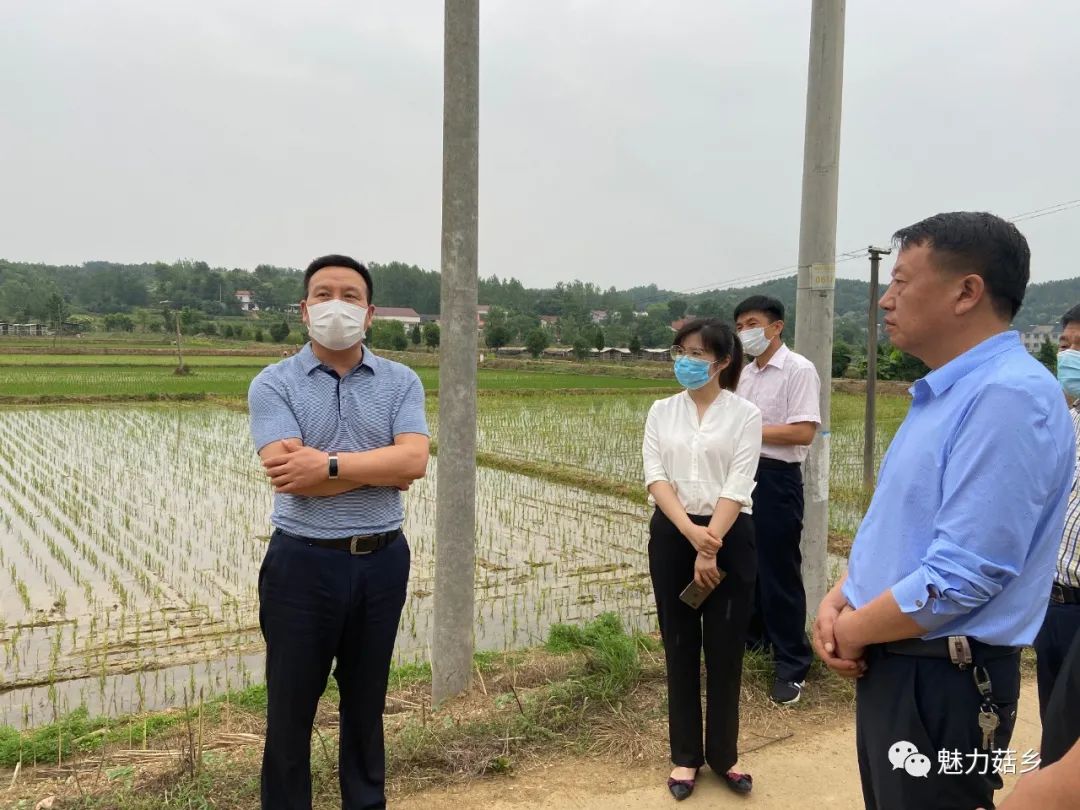 王笠一行还到均川镇查看了共富工业园征地情况.