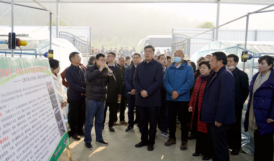 县人大常委会主任余先珍,县政协主席金安翔,县委副书记黄宗超等县"