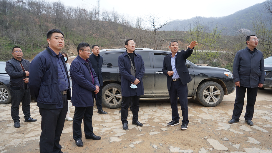 桐柏山太白顶田王寨景区,均川镇东润紫海田园项目,柳林镇明月谷项目