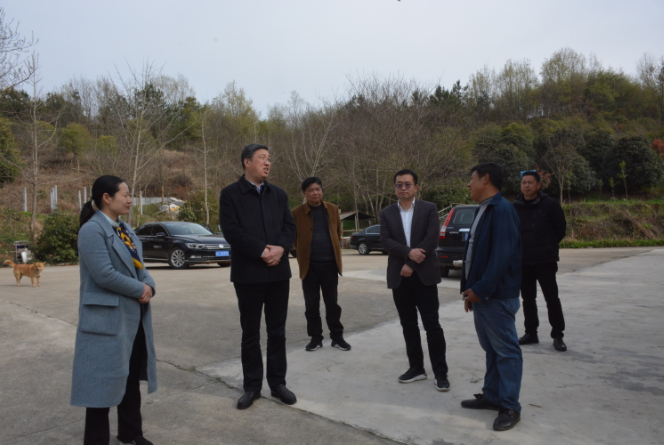 3月23日,县委书记陈兴旺来到封江湿地公园和随岳高速封江服务区,就