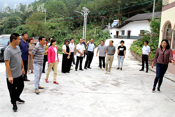 代表们先后实地查看了兴山县昭君镇滩坪村,陈家湾村,金乐村精准扶贫和