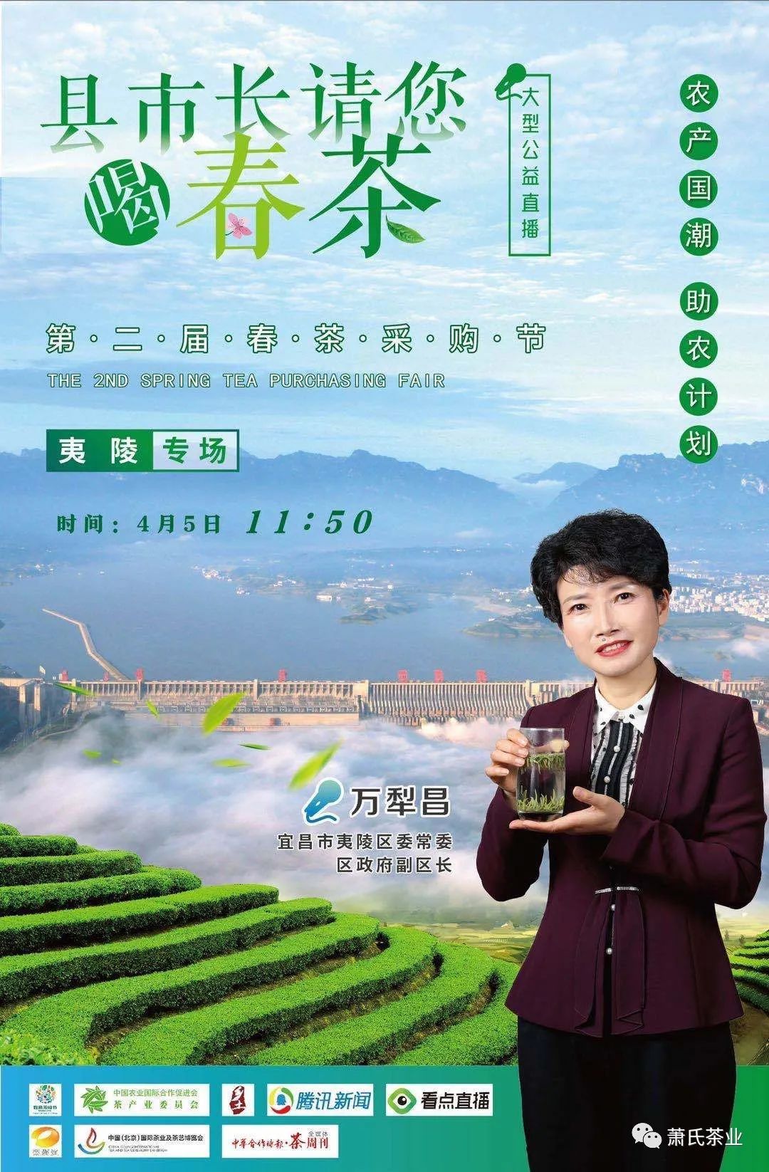 家乡春茶倾情代言,化身夷陵茶推广大使,区委常委,区政府副区长万犁昌