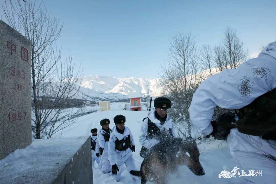 盘马弯弓陆军部队战备训练劲不松