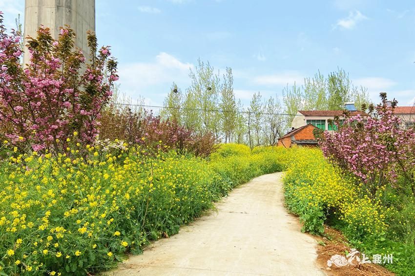 清明时节春光好郊游踏青赏春景