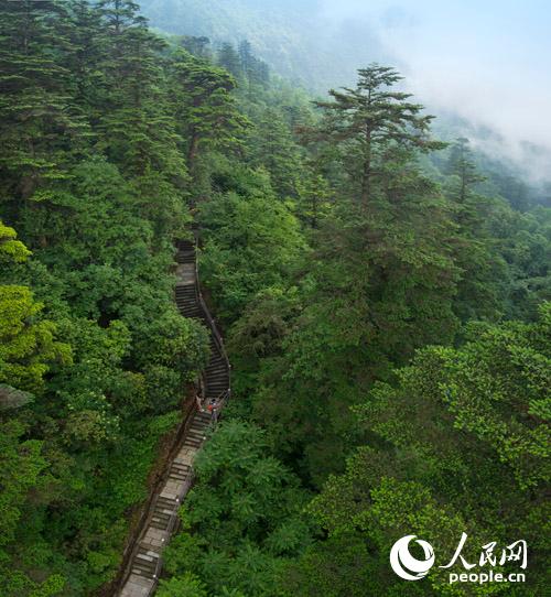 峨眉山游山道