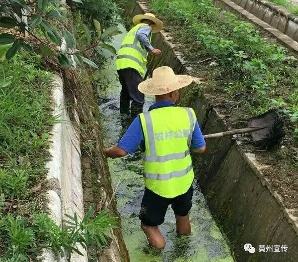 四好农村路秀美乡村中的亮丽风景线