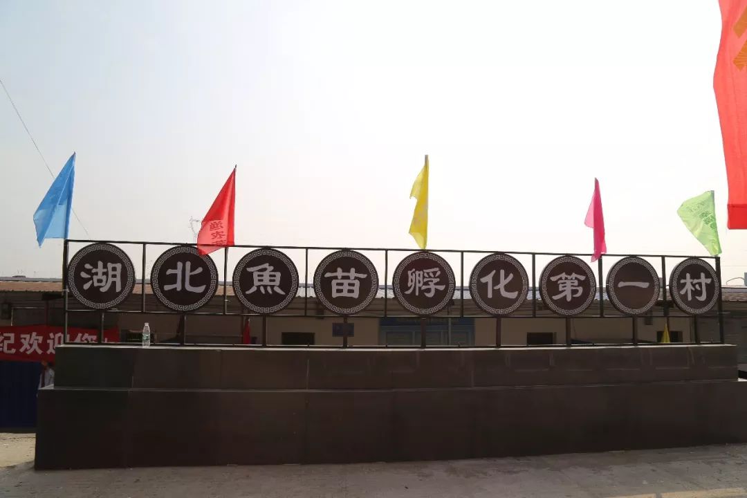 黄冈市黄州区陶店乡小鱼苗孵出大产业