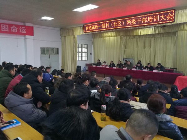 肖港镇召开新一届村社区两委干部培训会