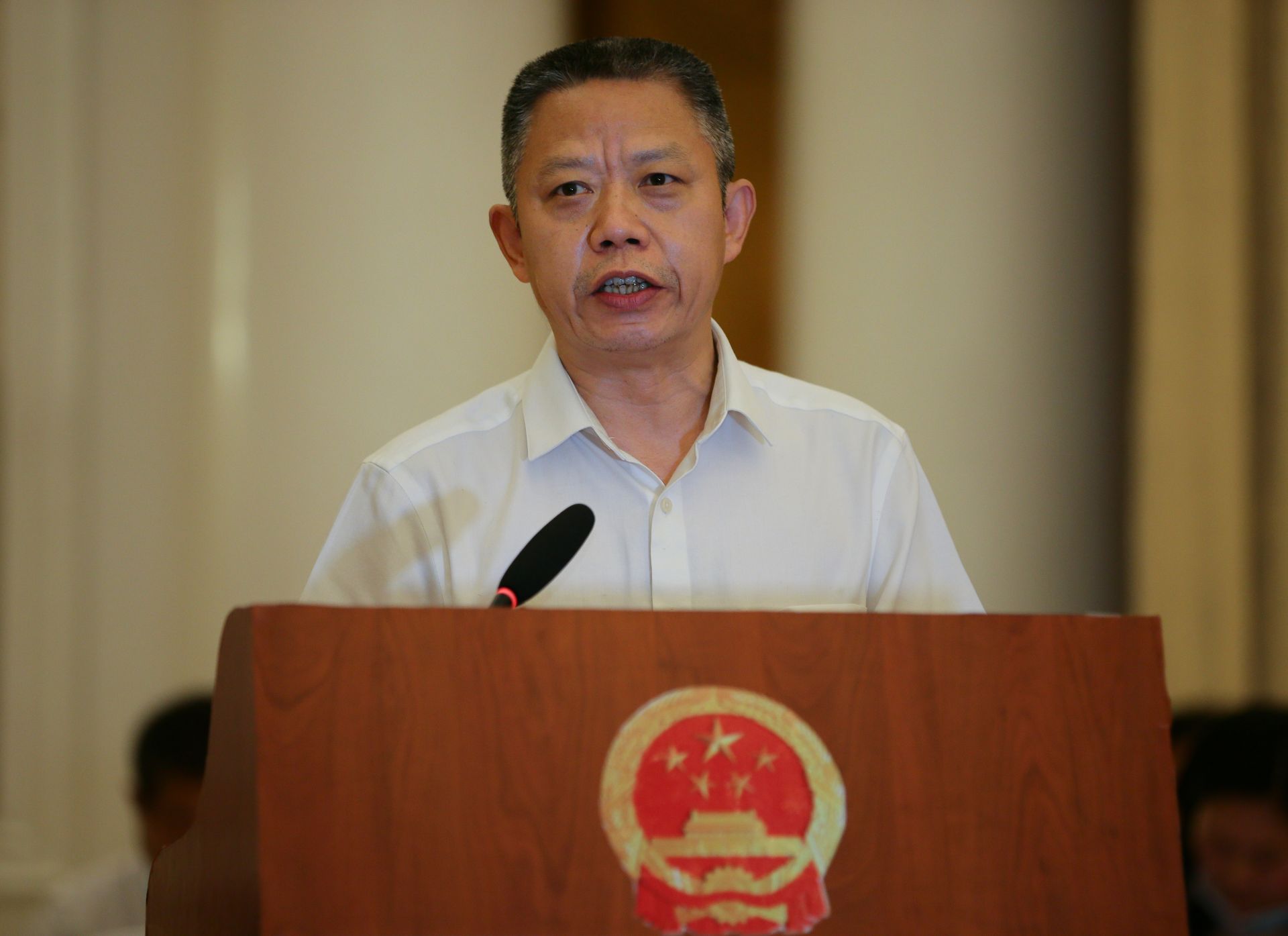 (区检察院代检察长陈先明向大会作检察院工作报告)区检察院代检察长