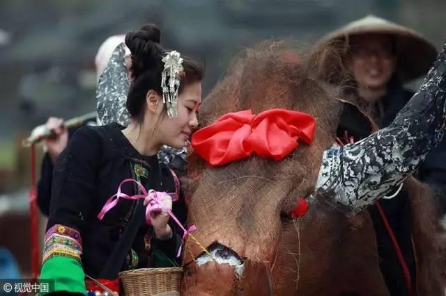 今日立春，百年一遇！但这仅仅是神奇鸡年的开始……